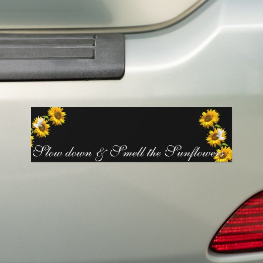 Bumpersticker van zonnebloempitten (Op auto)