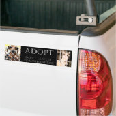Bumpersticker voor de adoptie van dieren (Op Truck)