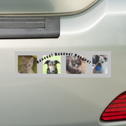 Bumpersticker voor dierenredding (Op auto)
