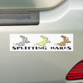 Bumpersticker voor het splitsen van hazen (Op auto)
