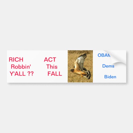 Bumpersticker voor Obama & 99,9 % van de Amerikane (Voorkant)