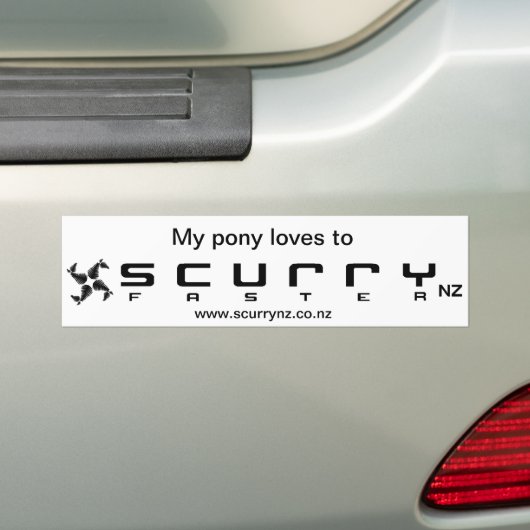 Bumpersticker voor pony (Op auto)