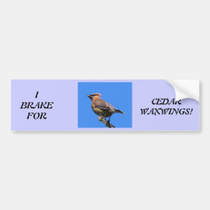 Bumpersticker voor vogelovers!