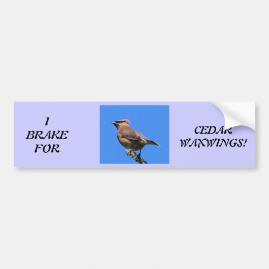 Bumpersticker voor vogelovers! (Voorkant)