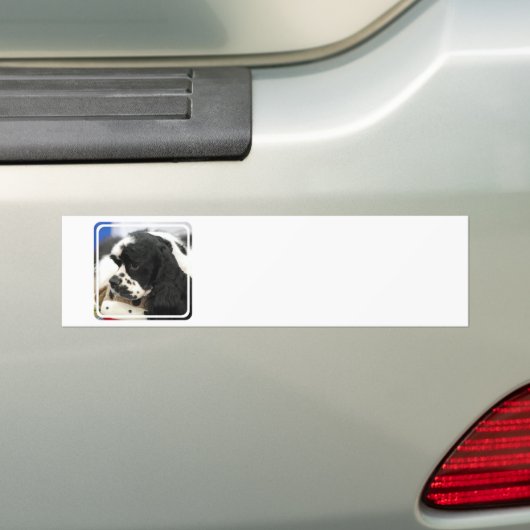Bumpersticker voor zwarte en witte Cocker Spaniel (Op auto)