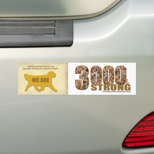 Bumpersticker - We zijn 3000 sterk (Op auto)