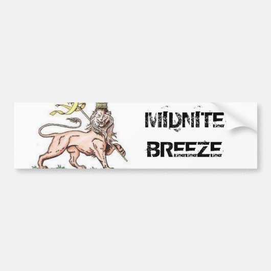 Bumpersticker zonder titel (Voorkant)