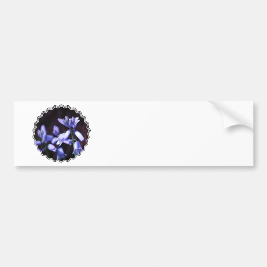 Bumperstickers blauwe balkbloemen (Voorkant)