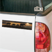 BUMPERSTICKERS ELEPHANT ELEPHANTS (Op Truck)