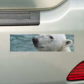 Bumperstickers met poolprofiel van Beren (Op auto)