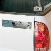 Bumperstickers met poolprofiel van Beren (Op Truck)