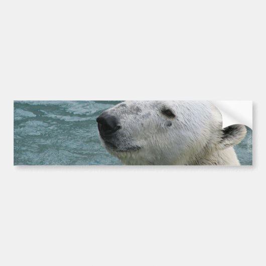 Bumperstickers met poolprofiel van Beren (Voorkant)