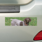 Bumperstickers van de Duitse Shorthaired Pointer (Op auto)