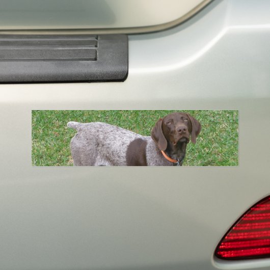 Bumperstickers van de Duitse Shorthaired Pointer (Op auto)