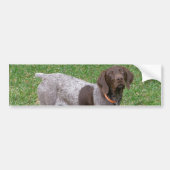 Bumperstickers van de Duitse Shorthaired Pointer (Voorkant)