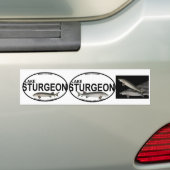 Bumperstickers van het meer (Op auto)
