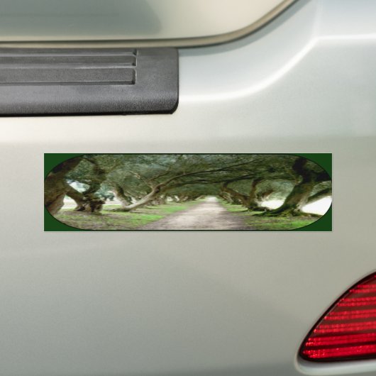 Bumperstickers van olijfgaarden (Op auto)