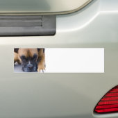 Bumperstickers voor het testen van Boxer Dog (Op auto)