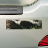 Bumperstickers voor stinkgedrag (Op auto)