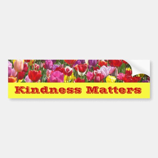 Bumperstickers Vriendelijkheid Tulpen Bloemen (Voorkant)