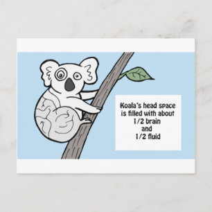 Bumpy Brains Koala Briefkaart