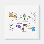 Bumpy Neurotransmitters Magneet (Voorkant)