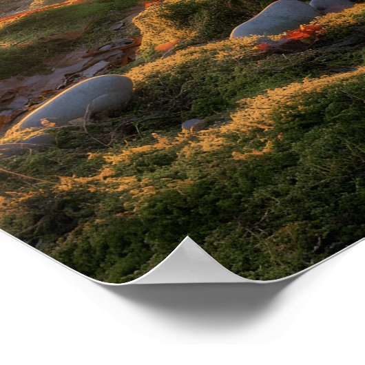 Bumpy Path Poster (Hoek)