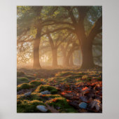 Bumpy Path Poster (Voorkant)