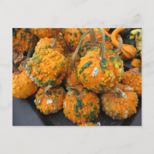 Bumpy Pumpkins Briefkaart