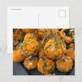 Bumpy Pumpkins Briefkaart (Voorkant / Achterkant)