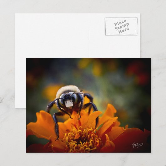 Bunble Bee Briefkaart (Voorkant / Achterkant)