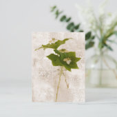 Bunch Berry - Wild Dogwood Briefkaart (Staand voorkant)