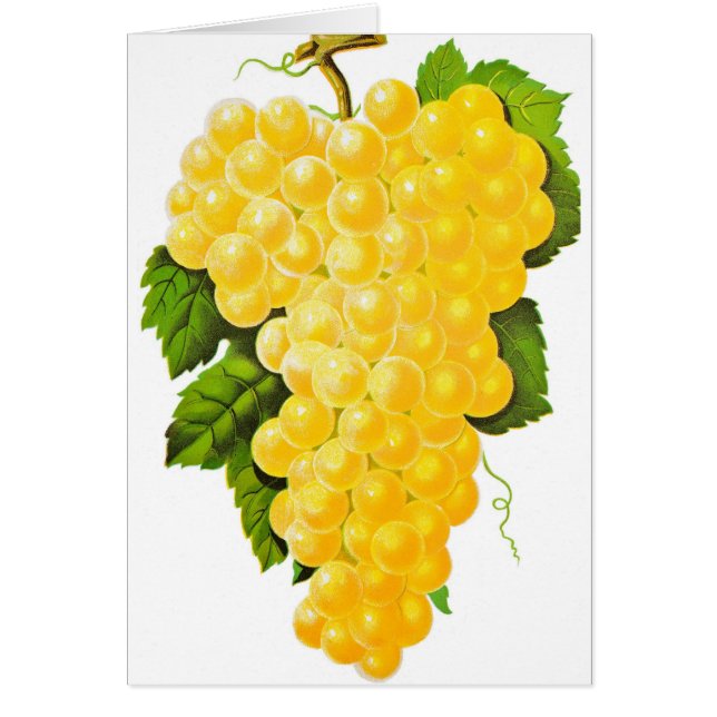 Bunch of Grapes (Voorkant)