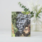 Bunch of Grapes Briefkaart (Staand voorkant)
