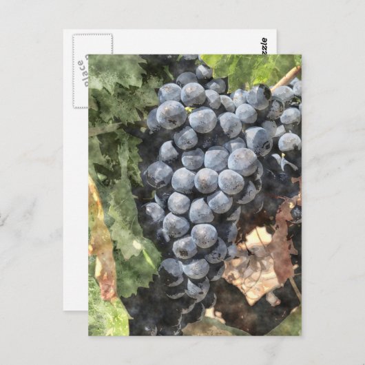 Bunch of Grapes Briefkaart (Voorkant / Achterkant)
