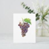 Bunch of Grapes Fruit Waterverf Painting Briefkaart (Staand voorkant)