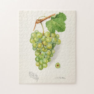 Bunch of Green Grapes Fruit Waterverf Painting Legpuzzel