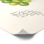 Bunch of Green Grapes Fruit Waterverf Painting Poster (Hoek)