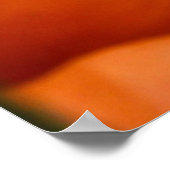 BUNCH OF PUMPKIN POSTER (Hoek)