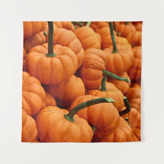 BUNCH OF PUMPKIN WANDKLEED (Voorkant)