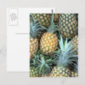 Bunch of Tropical Hawaiian Pineapples Briefkaart (Voorkant / Achterkant)