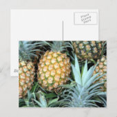 Bunch of Tropical Hawaiian Pineapples Briefkaart (Voorkant / Achterkant)