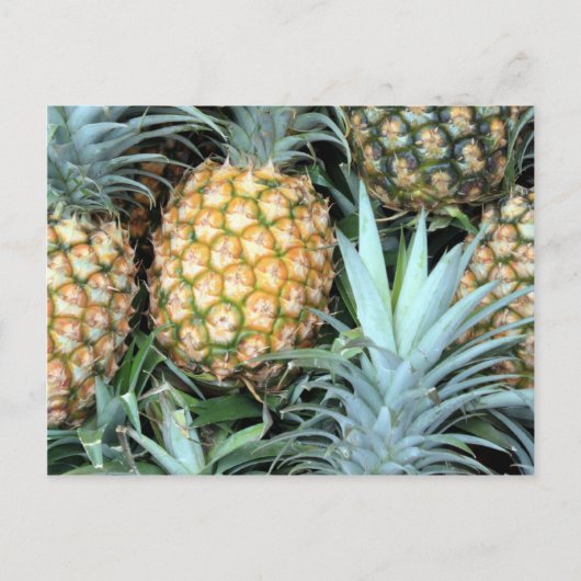 Bunch of Tropical Hawaiian Pineapples Briefkaart (Voorkant)