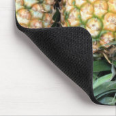 Bunch of Tropical Hawaiian Pineapples Muismat (Hoek)