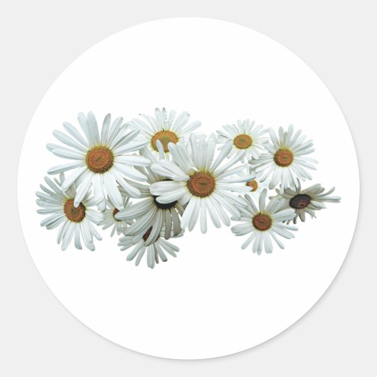 Bunch of White Daisies Ronde Sticker (Voorkant)
