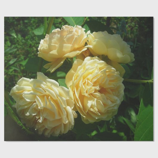 Bunch of Yellow Roses Cadeaupapier (Vlak)