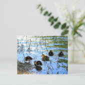 Bunch van Baby Briefkaart (Staand voorkant)