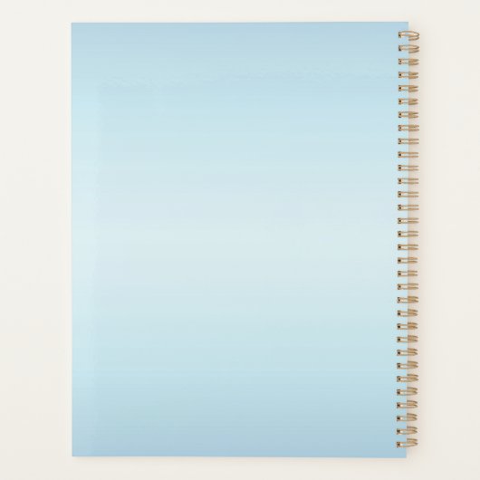 Bunch van heldere flinterballonnen met meerdere kl planner (Achterkant)