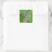 Bunch van paarse druiven vierkante sticker (Tas)