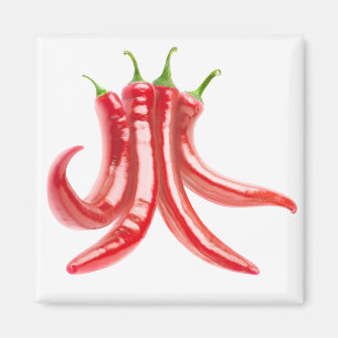 Bunch van Spaanse peper Magneet